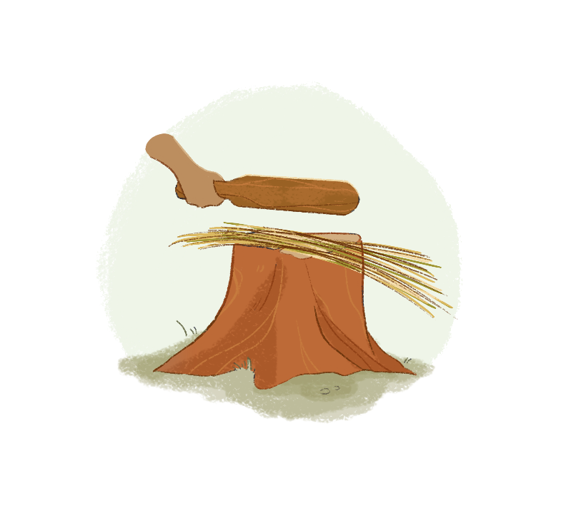 The flax is placed in a bundle and beaten with wooden clubs to break the stalks, making removal of the inner bast fibers much more manageable