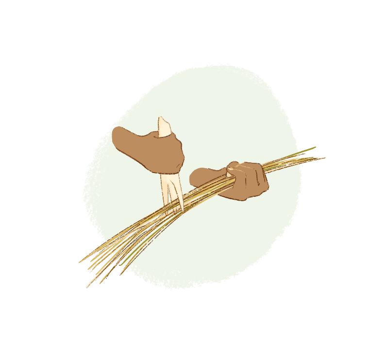 The flax is passed through a comb, similar to rippling. Longer and shorter strands can be separated